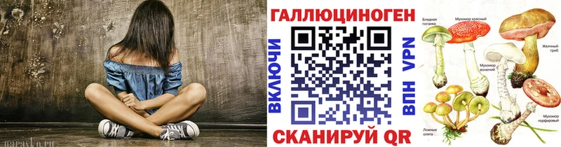 даркнет сайт  Новоржев  Псилоцибиновые грибы ЛСД 